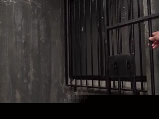 BDA-091女囚強姦檻の中の悲劇星奈あい第01集