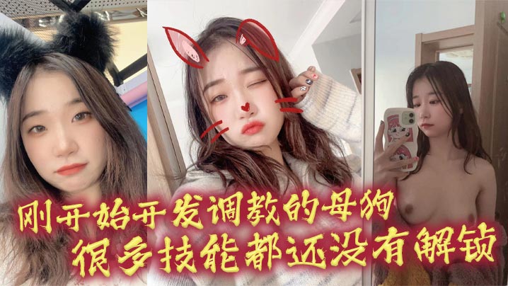 初次调教极品母狗：开发淫荡技能狂操到高潮