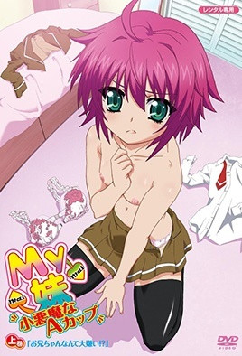 诱惑小恶魔妹妹A罩杯 被哥哥狂干到失禁高潮